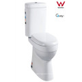 Made in China Popular in Australia Washdown Two-Piece Toilet (A-8002)